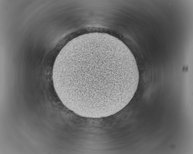 X0000111480870200908250959