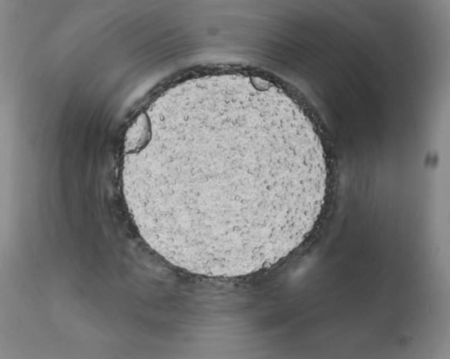 X0000111480871200908250959