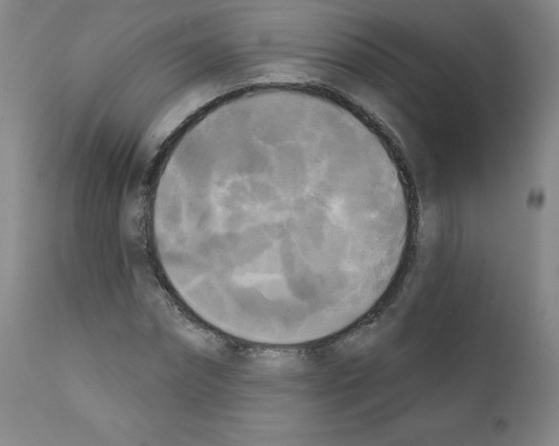 X0000111480874200908250959