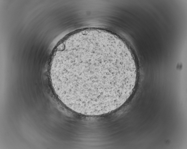 X0000111480875200908250959