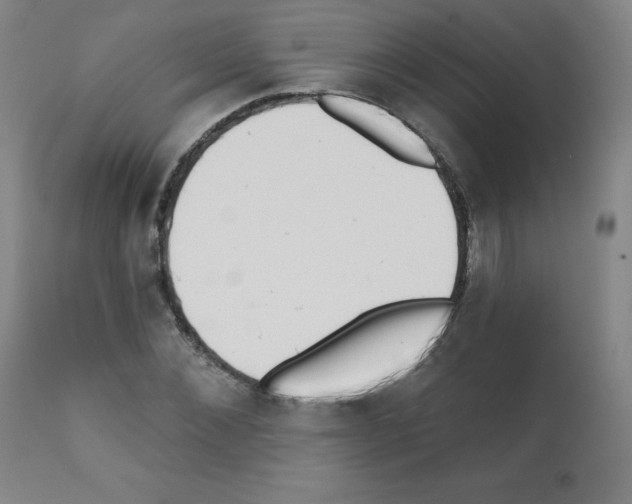 X0000111480876200908250959