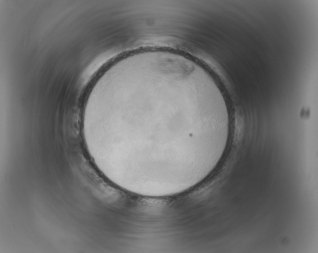 X0000111480878200908250959