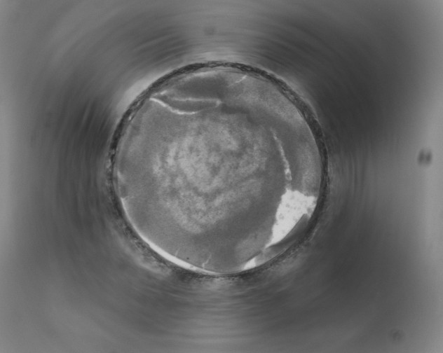 X0000111480879200908250959
