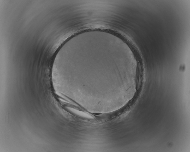 X0000111480881200908250959
