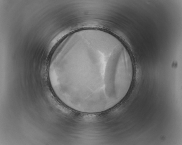 X0000111480882200908250959
