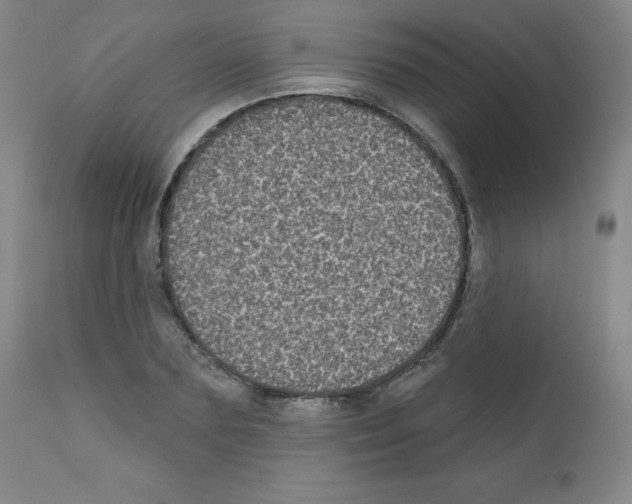 X0000111480883200908250959