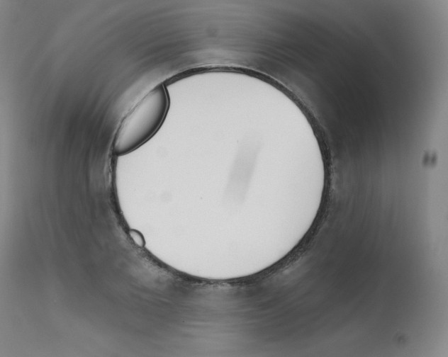 X0000111480885200908250959