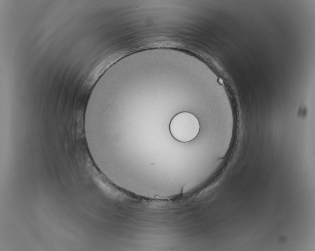 X0000111480889200908250959