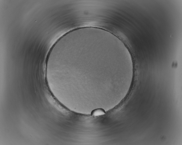 X0000111480892200908250959