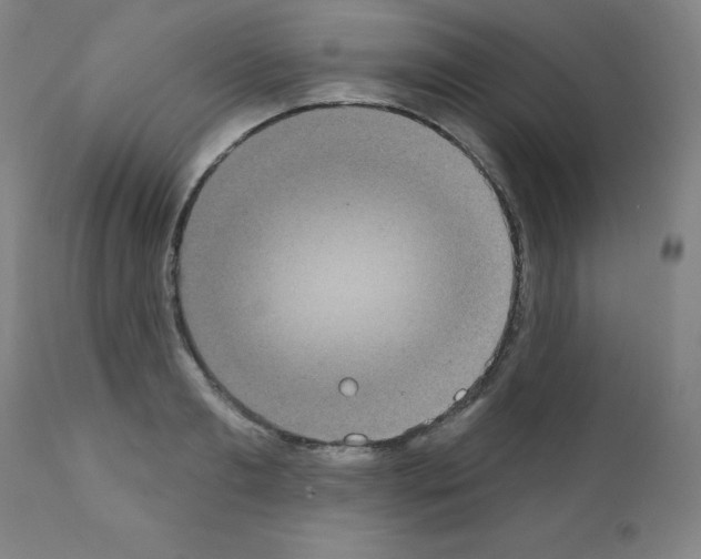 X0000111480893200908250959