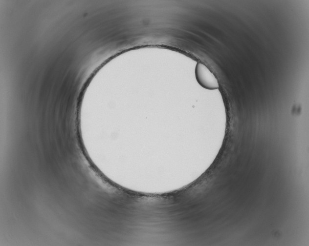 X0000111480894200908250959