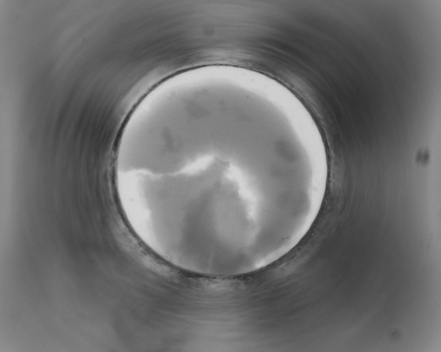 X0000111480899200908250959