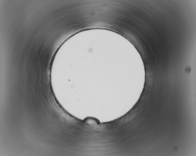 X0000111480900200908250959