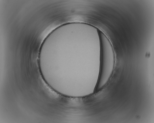 X0000111480901200908250959