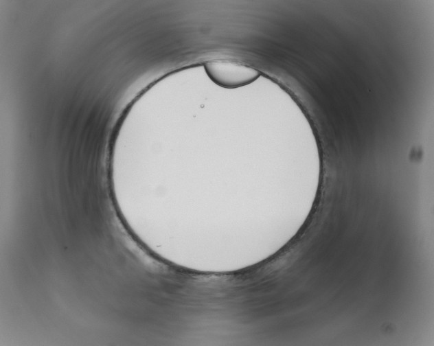 X0000111480902200908250958