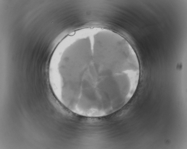 X0000111480907200908250958