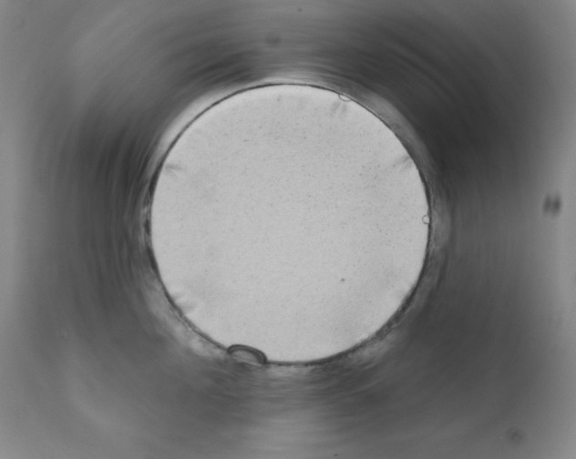 X0000111480908200908250958