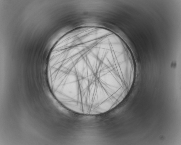 X0000111480909200908250958