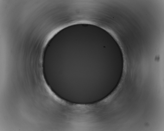 X0000111480910200908250958