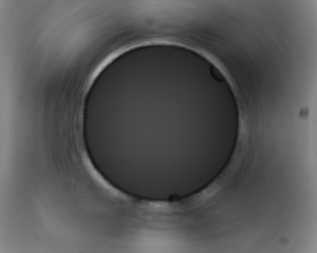 X0000111480911200908250958