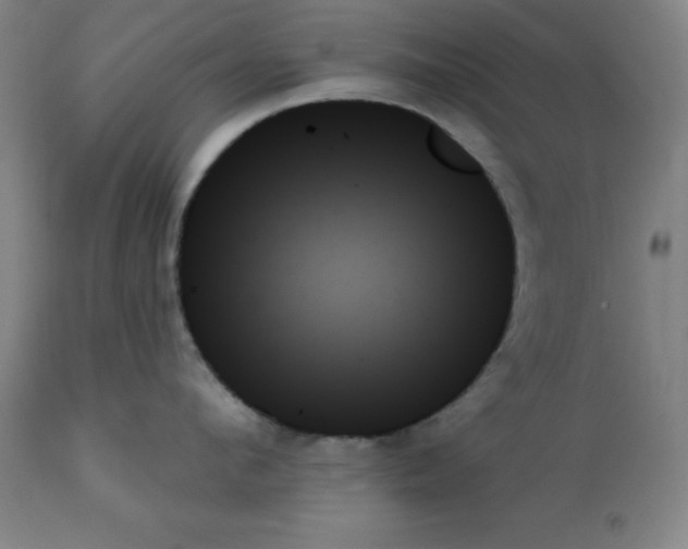 X0000111480912200908250958