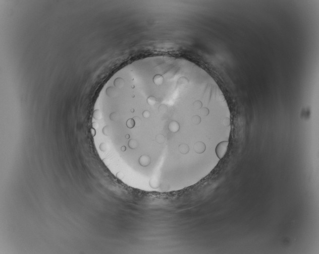 X0000111480913200908250958
