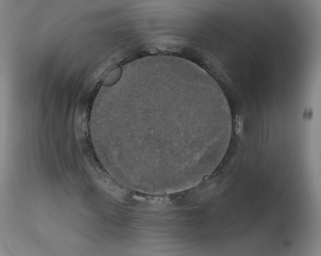 X0000111480915200908250958