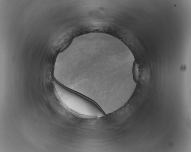 X0000111480916200908250958