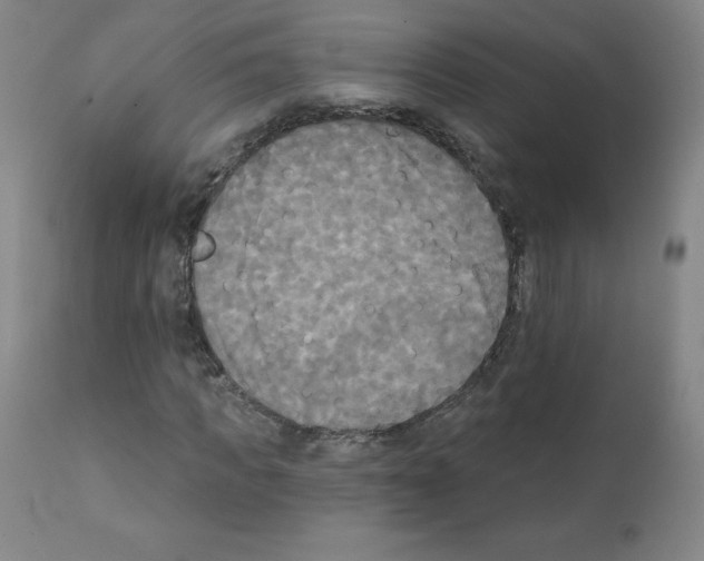 X0000111480917200908250958