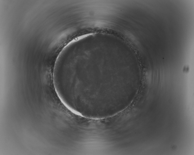 X0000111480918200908250958