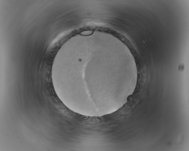 X0000111480919200908250958