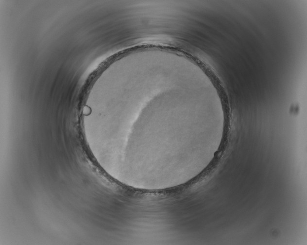 X0000111480923200908250958