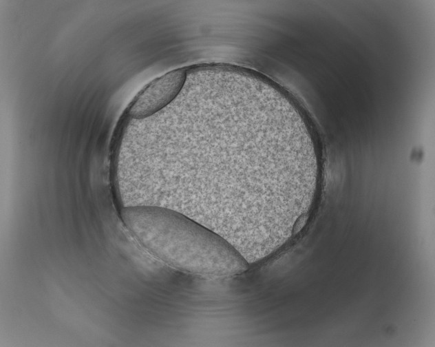X0000111480924200908250958