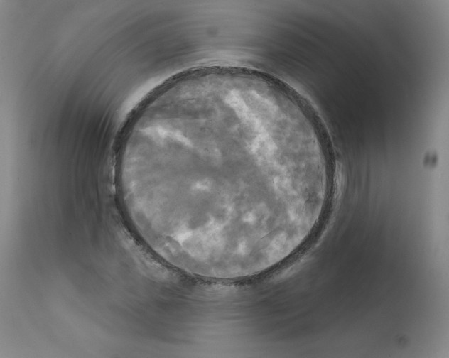 X0000111480925200908250958