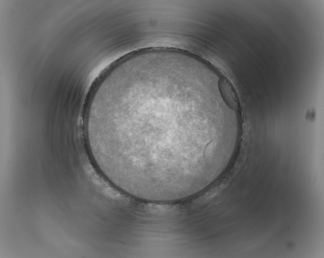 X0000111480928200908250958