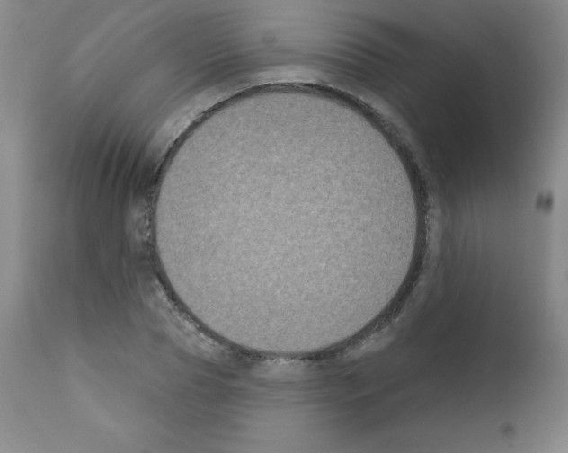 X0000111480929200908250958