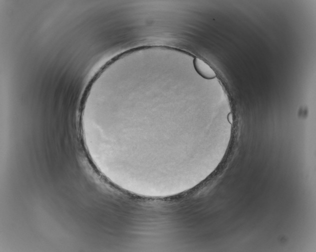 X0000111480932200908250958