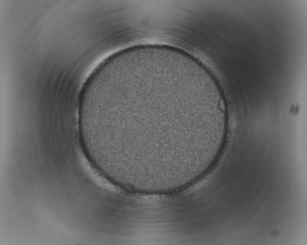 X0000111480934200908250958