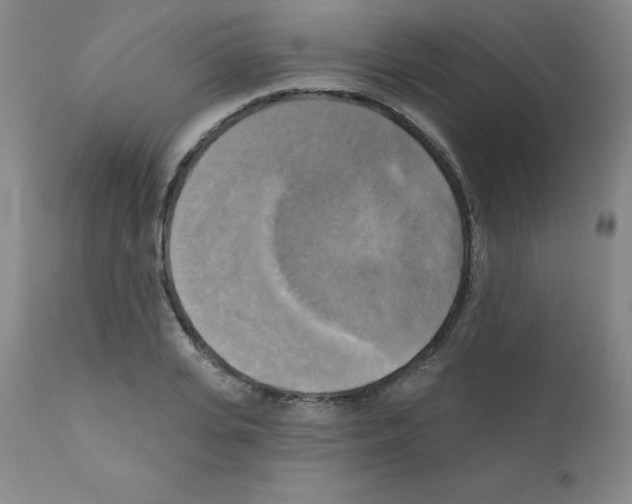 X0000111480935200908250958