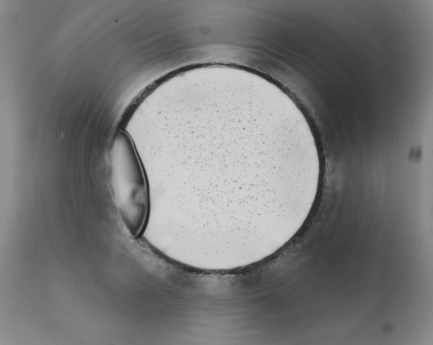 X0000111480936200908250958