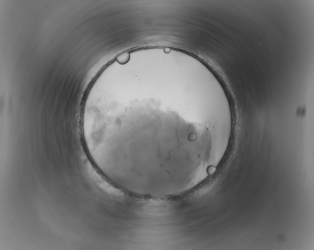 X0000111480941200908250958