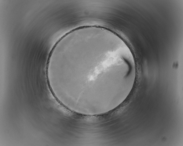 X0000111480943200908250958