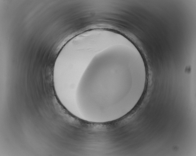 X0000111480945200908250958