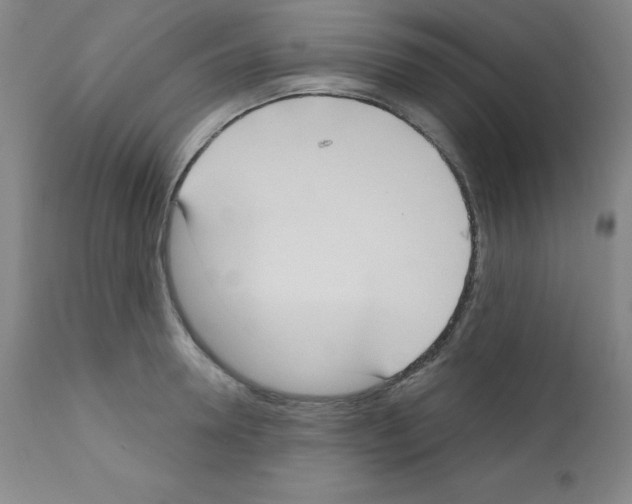 X0000111480946200908250958