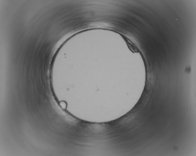 X0000111480947200908250958