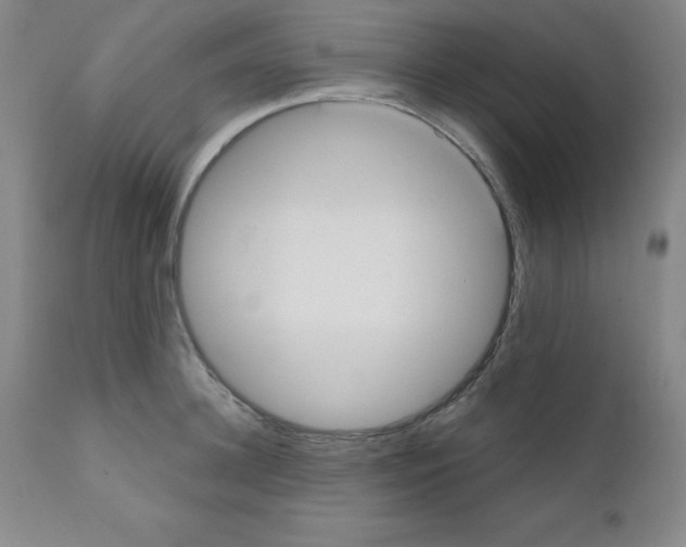 X0000111480948200908250958