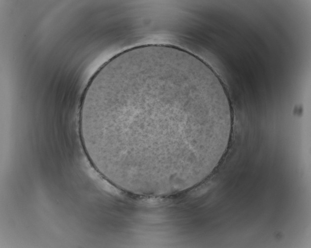 X0000111480950200908250958