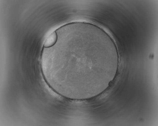 X0000111480951200908250958