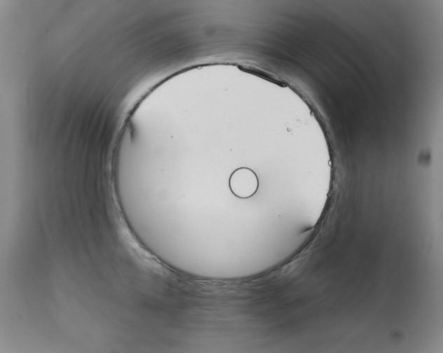 X0000111480952200908250958