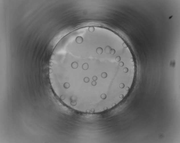 X0000111480953200908250958